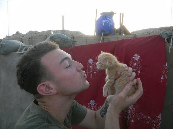 子猫・赤ちゃん猫の画像・写真-兵士とこねこ